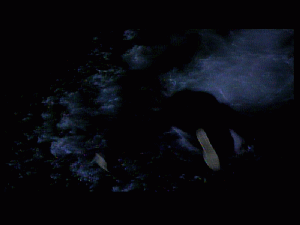 doc0212.gif